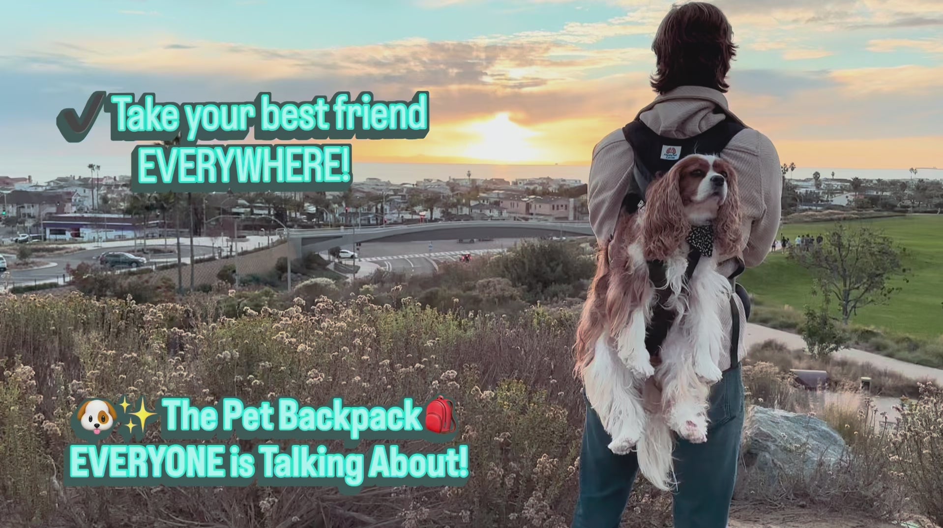 🐶✨ The Original HappyTail Carrier™: Pet Backpack for Small & Medium Dogs