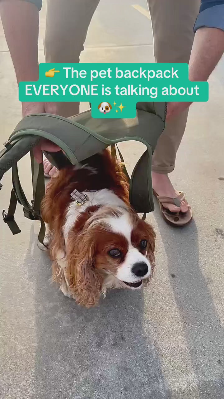 🐶✨ The Original HappyTail Carrier™: Pet Backpack for Small & Medium Dogs